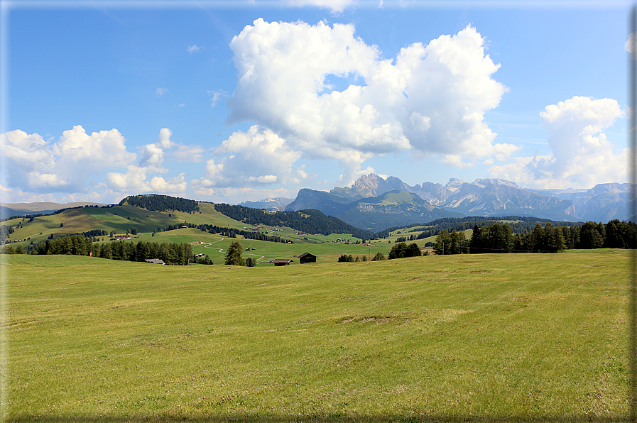 foto Alpe di Siusi